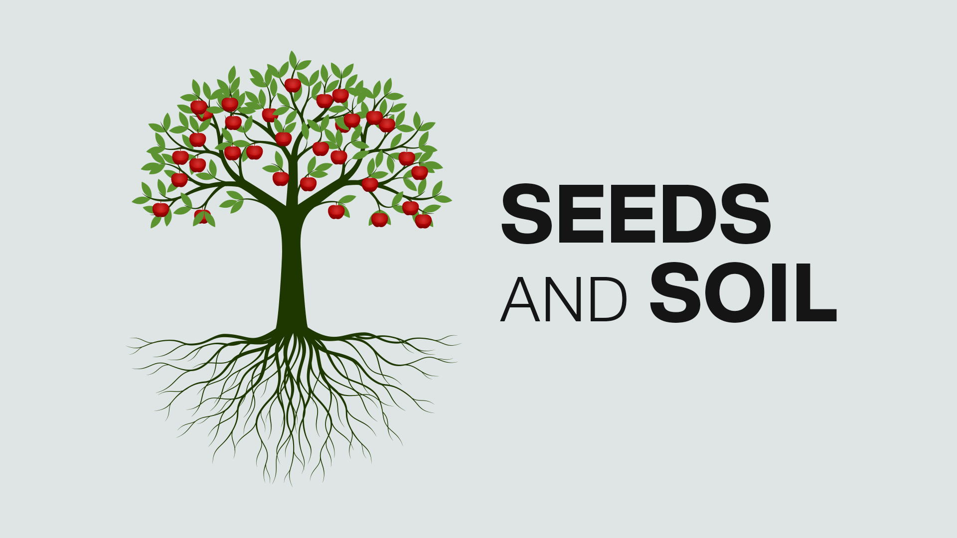 Seeds and Soil - Joshua Harris